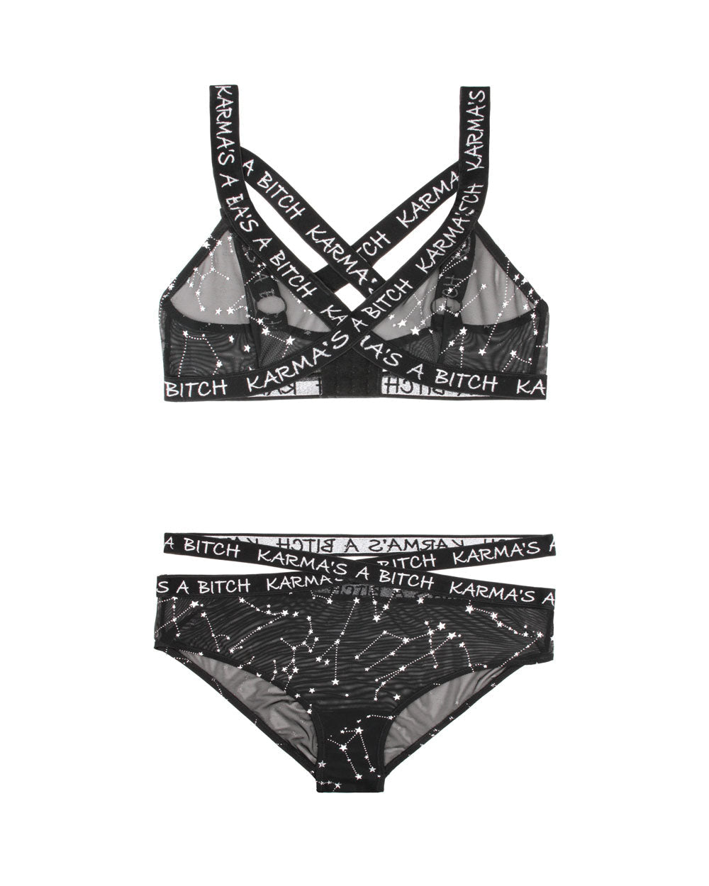 Unleash Your Inner Vixen: Metallic Mesh Temptation Set