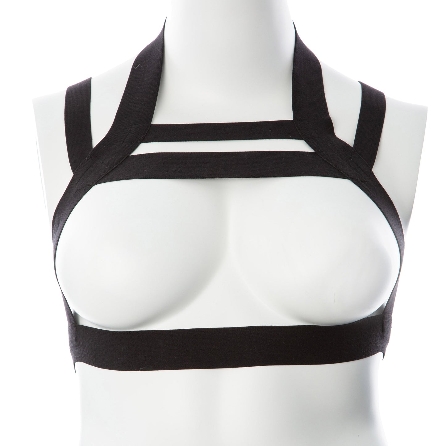 Cage of Desire: Embrace Your Royal Allure