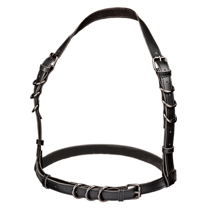 Euphoria's Embrace: Unleash Your Inner Temptress in Black