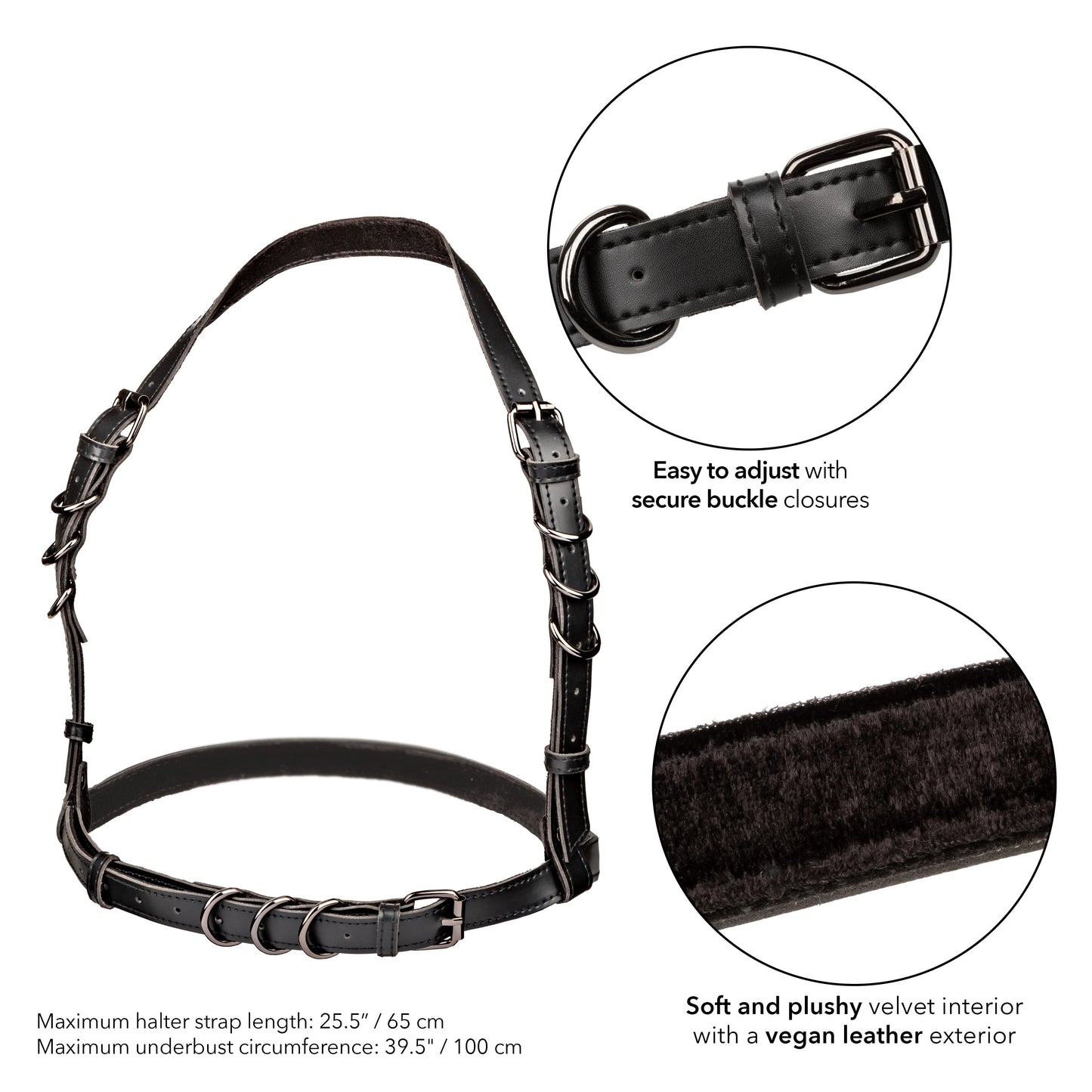 Euphoria's Embrace: Unleash Your Inner Temptress in Black