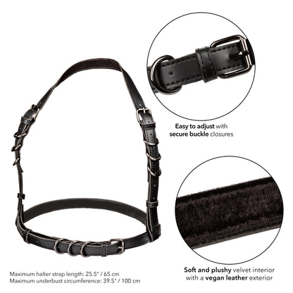 Euphoria's Embrace: Unleash Your Inner Temptress in Black