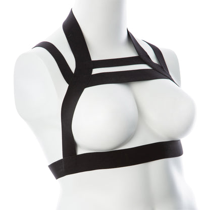 Cage of Desire: Embrace Your Royal Allure
