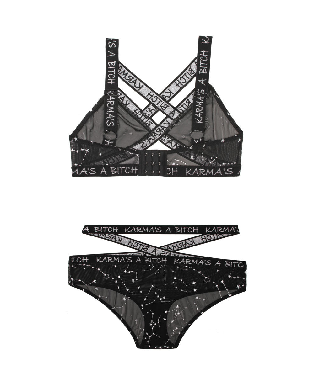 Unleash Your Inner Vixen: Metallic Mesh Temptation Set